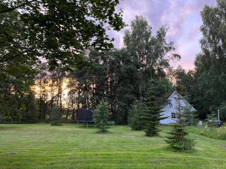 Сottage under the trees - 0
