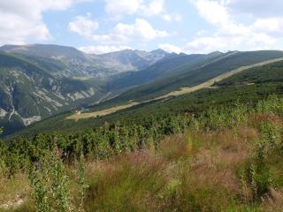 Borovets Apartments, Iglika 2 - Borovets - 8