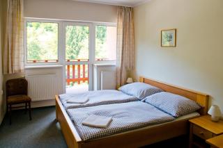 Horský Hotel Podjavorník - Papradno - 9