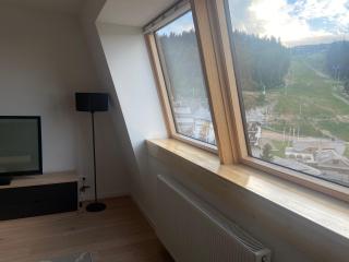 Penthouse Eleni - Olimpijska Kuca Jahorina - Jahorina - 8
