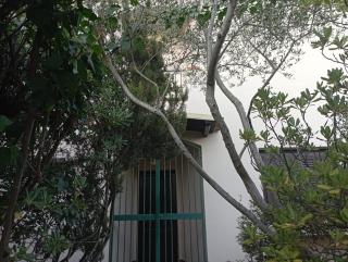 Domus Garden - Olbia - 4
