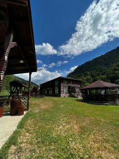 Pensiunea Roxana - Valea Vişeului - 5