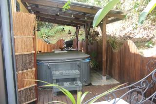 LA LIANE DE JADE 974-Lodge Le Palissandre - jacuzzi privatif - piscine chauffée - Le Bois de Nèfles - 5