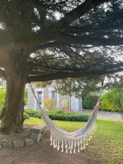 Les Hirondelles de la villa des roses - 2