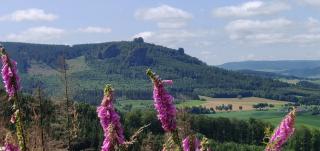 Ferienhaus Schulte - Villa Jupp und Apartment Liesl - 8