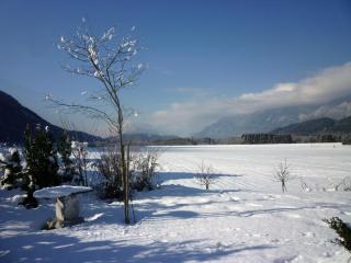 Ferienwohnung Wettl - 1