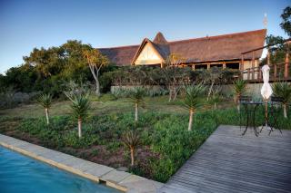 Bush Lodge – Amakhala Game Reserve - Riserva Faunistica di Amakhala - 1