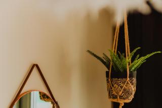 Lovely Bohemian Apartment in Heart of City Life - Glasgow - 5