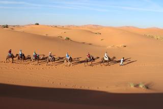 Hôtel Camping La Liberté - Merzouga - 7