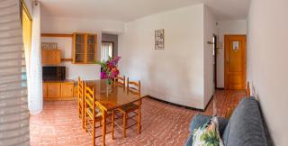 Apartamentos El Oasis - 3