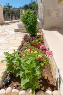 Sirius luxury Boutique - 5