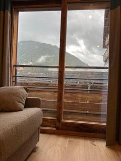CARLINA 105 - Morzine - 2