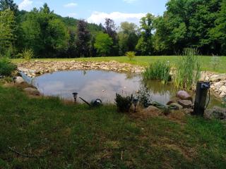 Pierre Deluen Domaine de la Grange de Quaire - 9