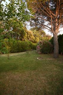 SAKURA, Paisible et confortable appartement à la campagne - Monteux - 3