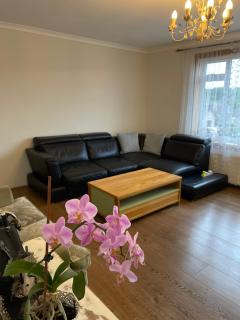 Cheerful 2 bedroom flat with free parking - Edimburgo - 7