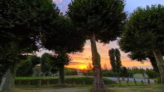 Aux Trois Rois - Pont-sur-Yonne - 6