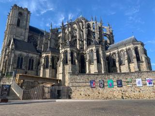 Plantagenet -Le Vieux Mans - Hyper centre - Le Mans - 2