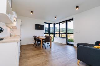 Apartment Enzian - Loučná pod Klínovcem - 5