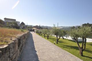 Olival da Seara - Marco de Canaveses - 1