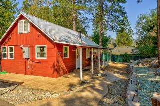 Acorn Cabin - Charming Place, Your getaway to Yosemite, Bass Lake - Oakhurst - 6