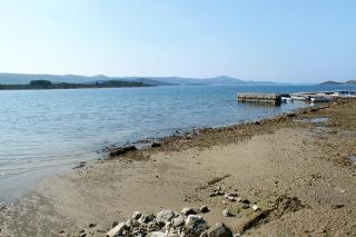 Apartments by the sea Turanj, Biograd - 6445 - Turanj - 9