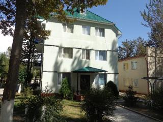 Guest House at DO Altyn - Kum - Chon-Sary-Oy - 0
