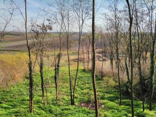 Holiday house with a parking space Orolik, Slavonija - 14358 - 1