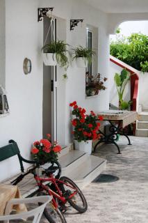 Apartments by the sea Supetarska Draga - Gornja, Rab - 2016 - Supetarska Draga - 3