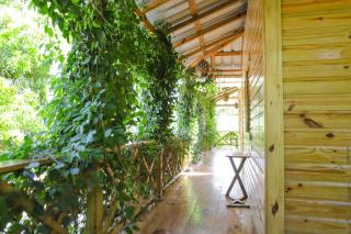 EL GALLO ECOLODGE - San Felipe de Puerto Plata - 5