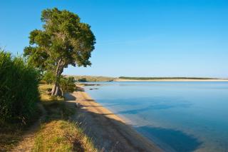Apartments with parking spaces Povljana, Pag - 233 - Povljana - 6
