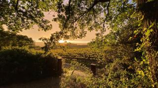 Le havre de paix Gîte insolite avec spa sous les étoiles - Mirabel-aux-Baronnies - 0
