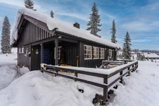 Cottage right next to cross country tracks - Ringsaker - 0