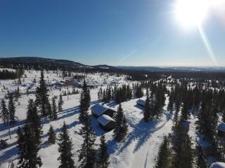 Cottage right next to cross country tracks - Ringsaker - 4
