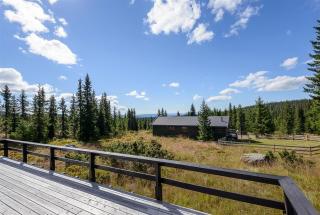 Cottage right next to cross country tracks - Ringsaker - 3