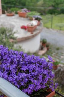 Agriturismo Terrerosse Di Massadita - Aieta - 1