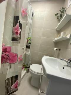 Apartamento Soniquete - Jerez de la Frontera - 5