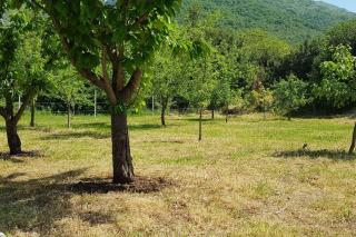 INTO THE GREEN - - 2