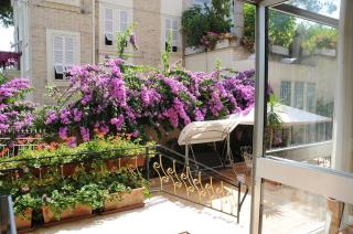 Hotel Florence - San Benedetto del Tronto - 8