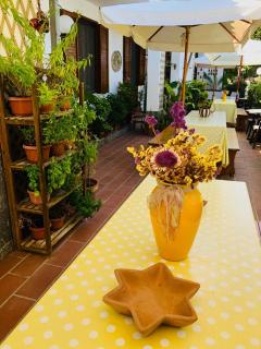 B&B Villa Anna Wunderbar - Ischia - 9