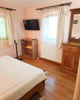 TreeHouse - Pădurea Neagră - 1