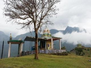 Jungle Hut - Masinagudi - 5