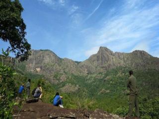 Jungle Hut - Masinagudi - 4