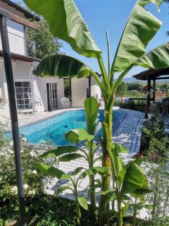 Garden- pool apartman - - 1