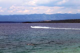 Apartments by the sea Porat, Krk - 19272 - Malinska - 7