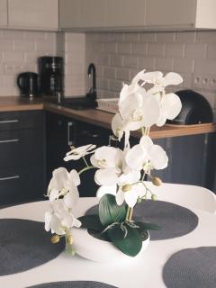 Apartament Holiday 32 - Rewal - 9