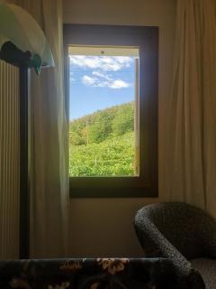 ABC Rooms - Valdobbiadene - 5
