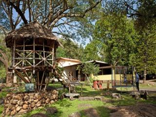 Jungle Hut Resort - 6