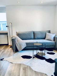Nibelungen Boardinghouse 1 Zimmer Apartment - Lindenfels - 4