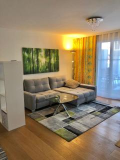 Gemütliches 2 Zimmer Studio mit Gartensitzplatz - Fällanden - 0