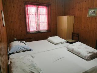 Great Mountain B&B Platak - Platak - 1
